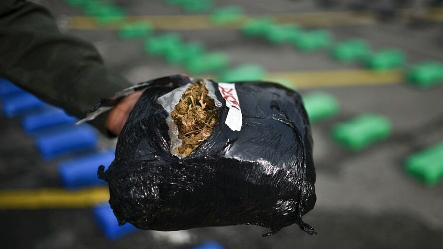 La marihuana, avaluada en 2.5 millones de dólares, fue producida por 'Los Pelusos' para miembros de la banda criminal brasileña 'La Familia del Norte'. Foto: Getty Images