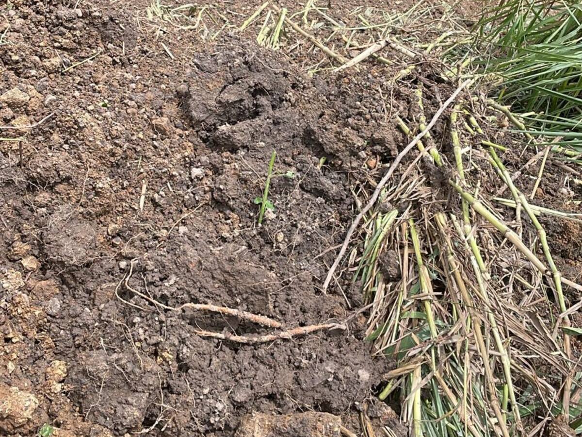 Dos personas murieron por deslizamientos en el departamento de Caldas