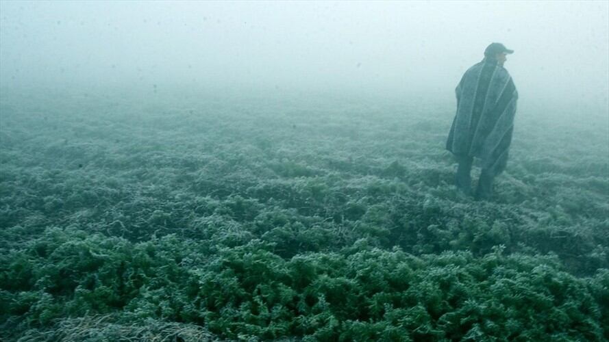 Heladas en el país. Foto: Colprensa