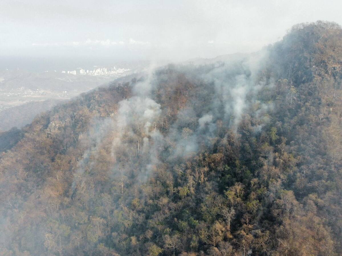 Bomberos de Santa Marta atienden emergencia por incendio forestal en la vereda El Limón