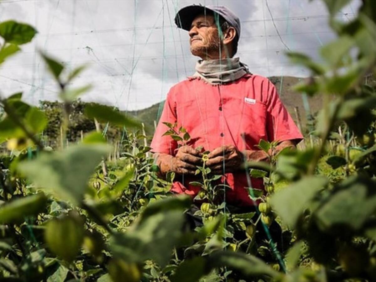 ANT presentó en Washington nuevos incentivos para que desmovilizados trabajen el campo