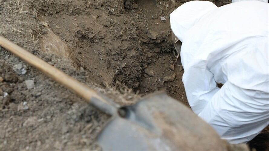 Imagen de referencia de falsos positivos. Foto: Colprensa - JEP