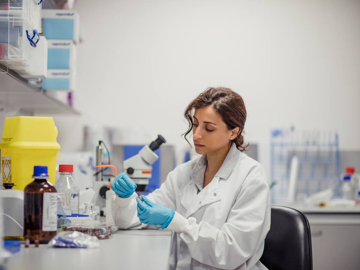 Prueba de drogas con muestra de cabello para diputados en Chile, ¿cómo funcionará?