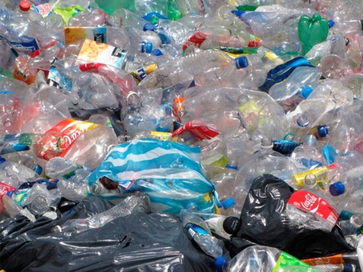 Si quiere ayudar al mar empiece por reciclar