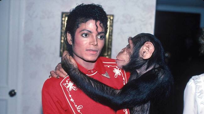 Las obras de arte del chimpancé de Michael Jackson, a la venta por una buena causa. Foto: Colprensa