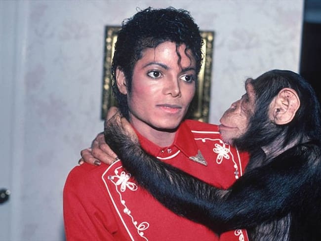 Las obras de arte del chimpancé de Michael Jackson, a la venta por una buena causa. Foto: Colprensa