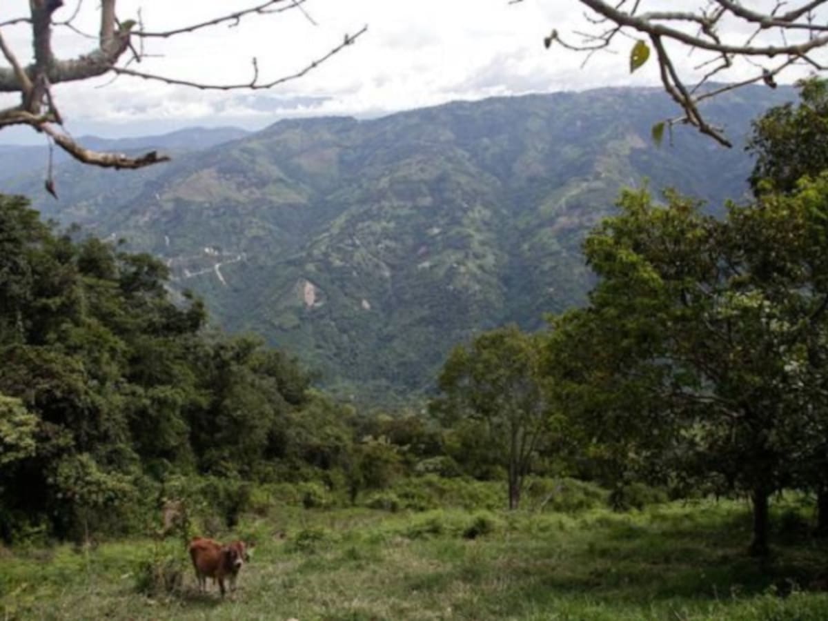 Asociaciones campesinas se preparan para la reforma rural