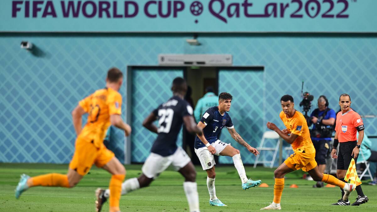Estas fueron las reacciones al empate de Países Bajos y Ecuador en el Mundial 2022