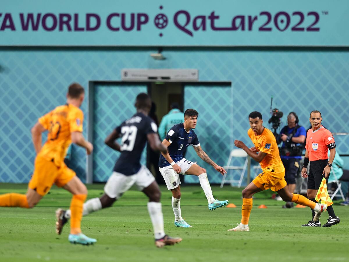 Estas fueron las reacciones al empate de Países Bajos y Ecuador en el Mundial 2022