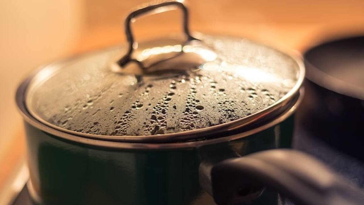 Innovación en la cocina con ollas multiuso: preparar la comida nunca fue tan fácil