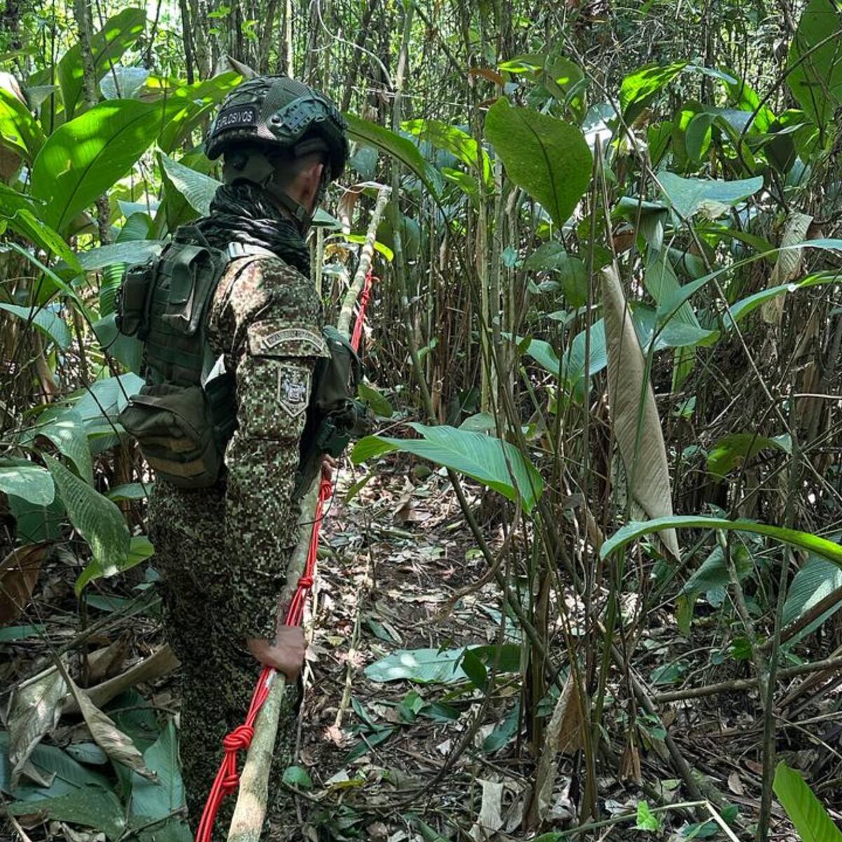 Fuerzas militares hallaron depósito ilegal con 600 minas antipersonal