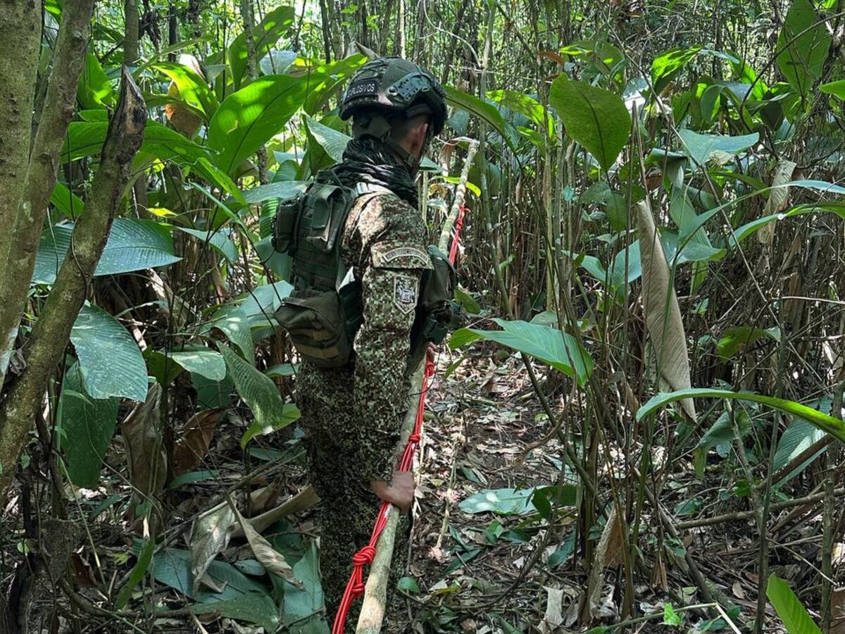 Fuerzas militares hallaron depósito ilegal con 600 minas antipersonal