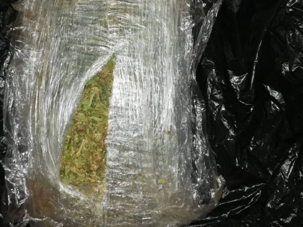 Venezuela decomisa casi 3 toneladas de marihuana, el mayor contrabando en 10 años