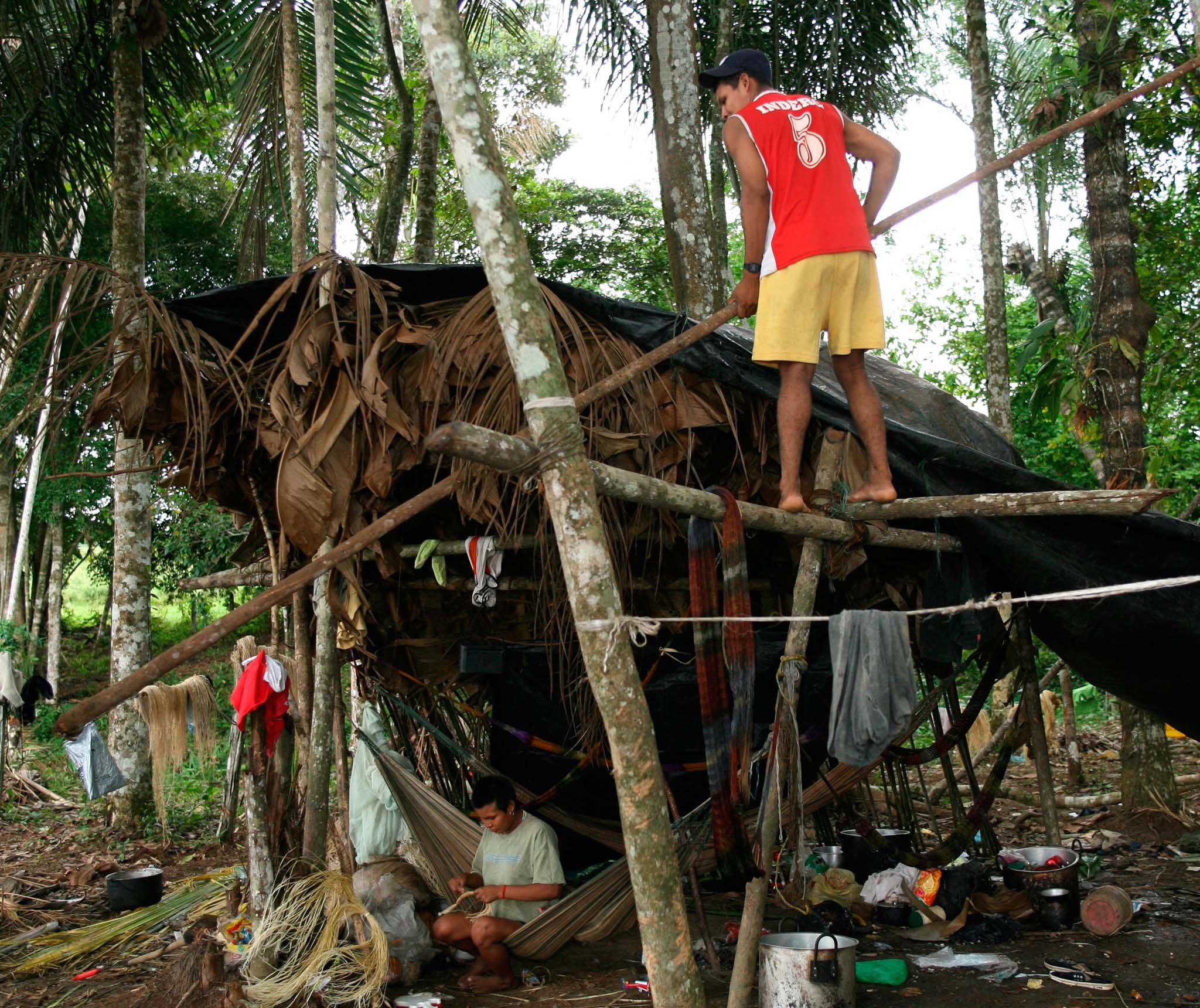 FOTO # 60 (HORIZONTAL) FO7060NUKAK MAKU DESTERRADOS
BOGOTA, NOV. 12.- LA ULTIMA TRIBU NOMADA DE COLOMBIA Y DE LAS POCAS QUE QUEDAN EN AMERICA LATINA, PARECE ESTAR CONDENADA A LA EXTINCION POR LA INDIFERENCIA DEL ESTADO. (COLPRENSA  EL PAIS).