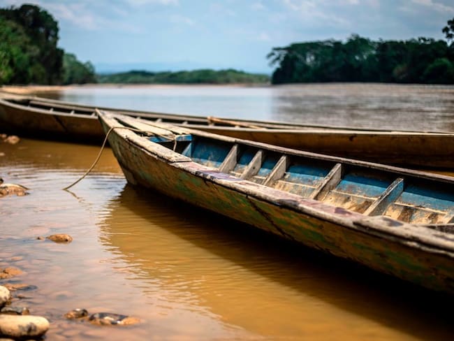 Imagen de referencia de área amazónica en Perú. Foto: Getty Images.