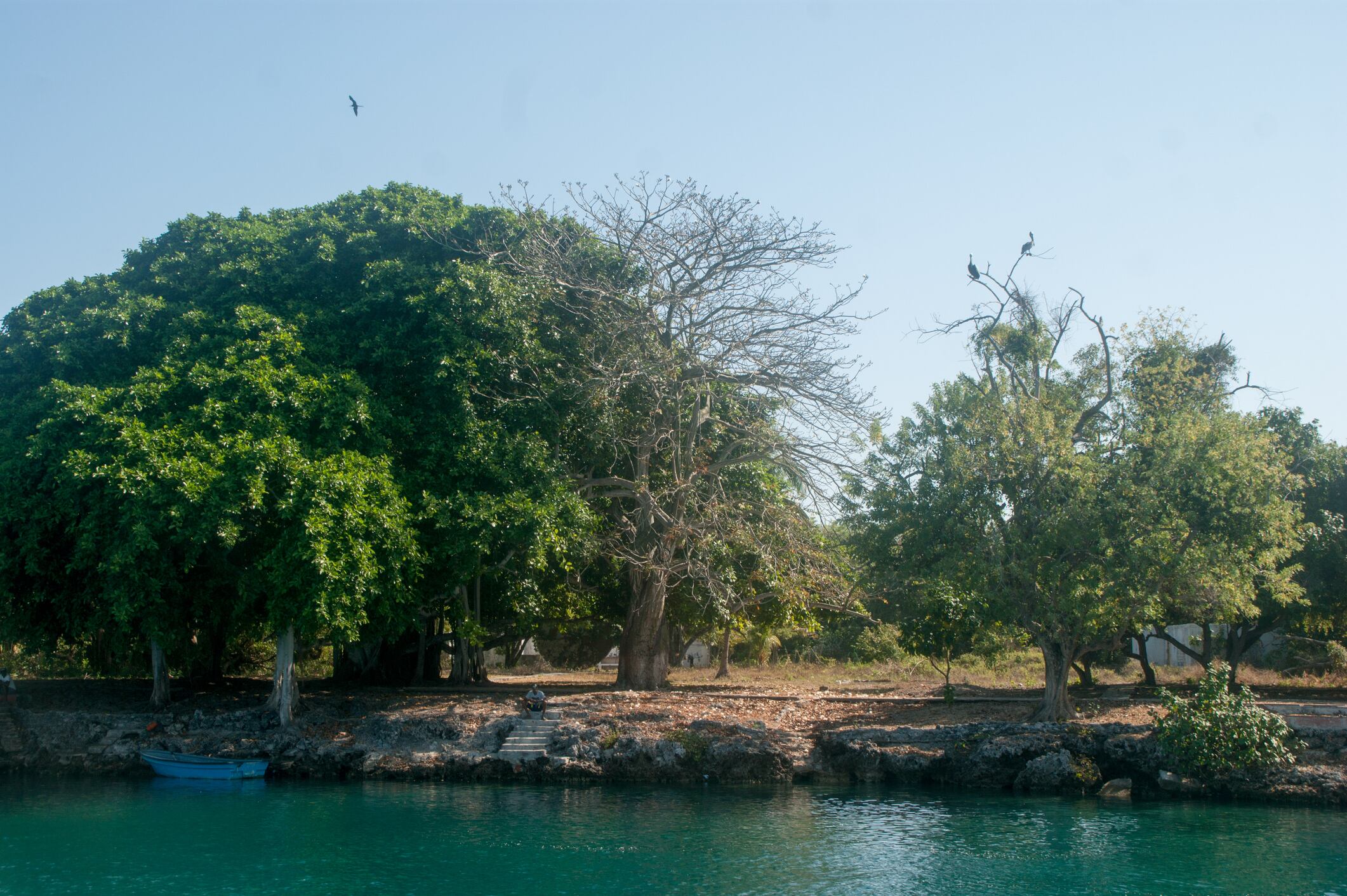 El “Pablo Escobar” del contrabando tiene en arriendo 2 paradisiacas Islas del Rosario. Foto: Getty Images