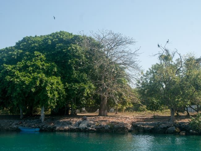 El “Pablo Escobar” del contrabando tiene en arriendo 2 paradisiacas Islas del Rosario. Foto: Getty Images
