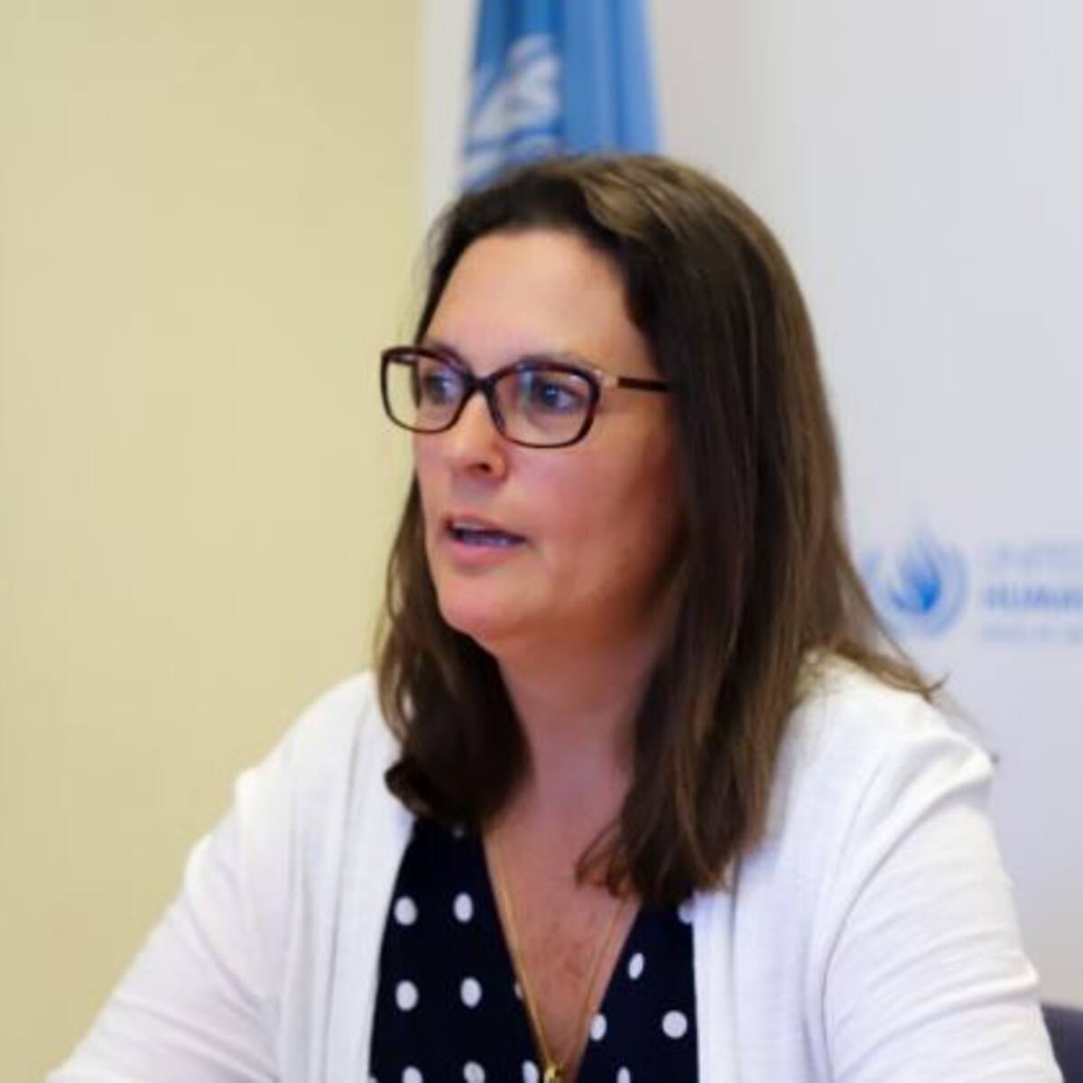 ONU ha recibido más de 60 denuncias de asesinato de líderes sociales este año