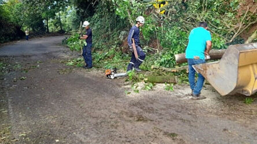 Gobernación de Caldas. Foto: