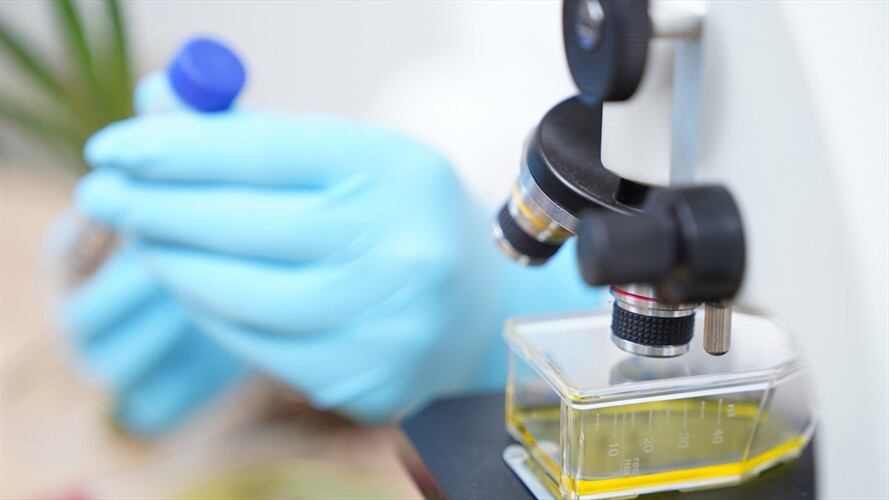 Esto nos permitirá tener un seguimiento estricto del virus: minsalud. Foto: Getty Images