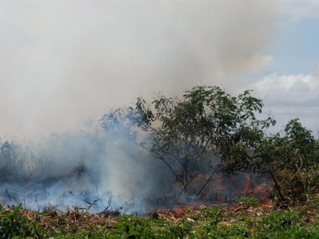 Tres días completa la conflagración que afectó un área protegida en el municipio de Cereté. . Foto: Cortesía