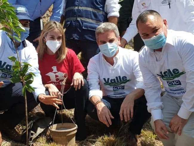 Bavaria sembró más de 40.000 árboles nativos en el Día del Árbol
