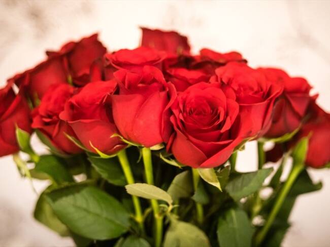 ¿Usted a quién le regalaría flores para ayudar a los más vulnerables?. Foto: Getty Images