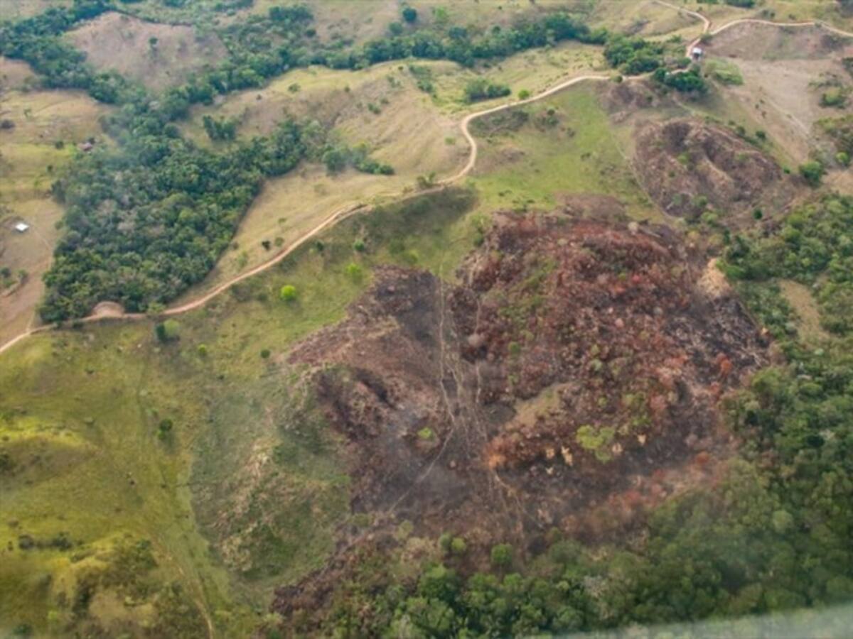 Gobernador del Meta confirma presencia del ELN en el sur del departamento