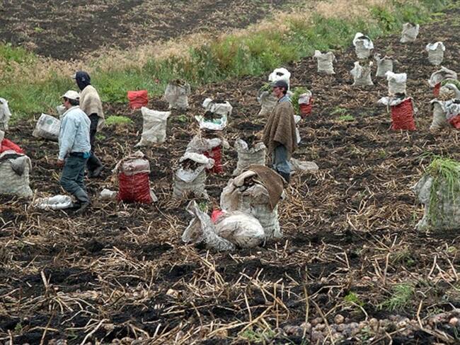 Imagen de referencia. Foto: Colprensa