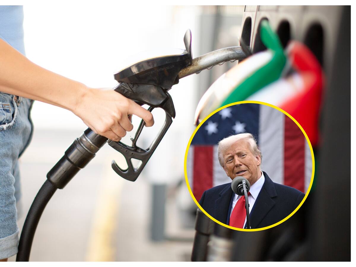 OPEP estima que aranceles anunciados por Estados Unidos frenarán el consumo de crudo