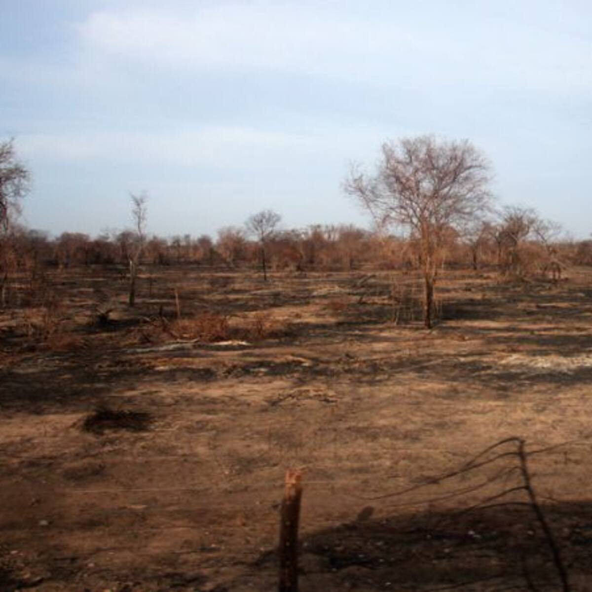 Declaran calamidad pública en Puerto Colombia, Atlántico, por el Fenómeno de El Niño