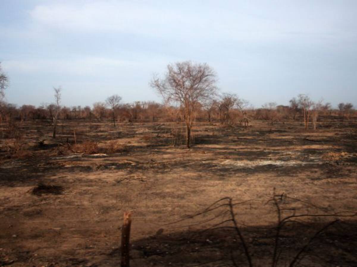 MinAmbiente advirtió sobre Fenómeno de El Niño y declaró emergencia en La Guajira