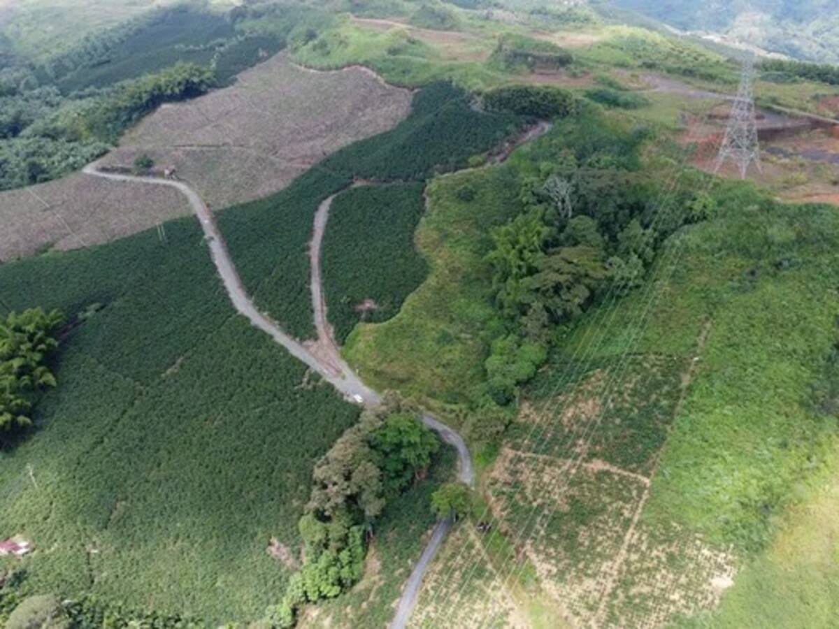 “Estamos preocupados con el aplazamiento en un mes del cronograma de licitación”: veedor de Aerocafé