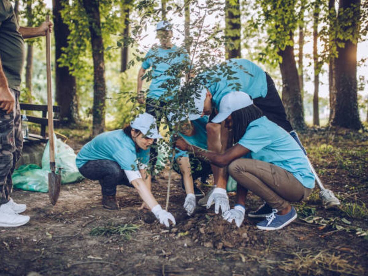 Personería de Santa Marta logra que infractores conmuten multas con trabajo comunitario