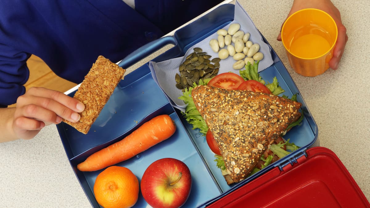 65% de todo el territorio nacional se vería afectado por suspensión del PAE: contralor de Educación