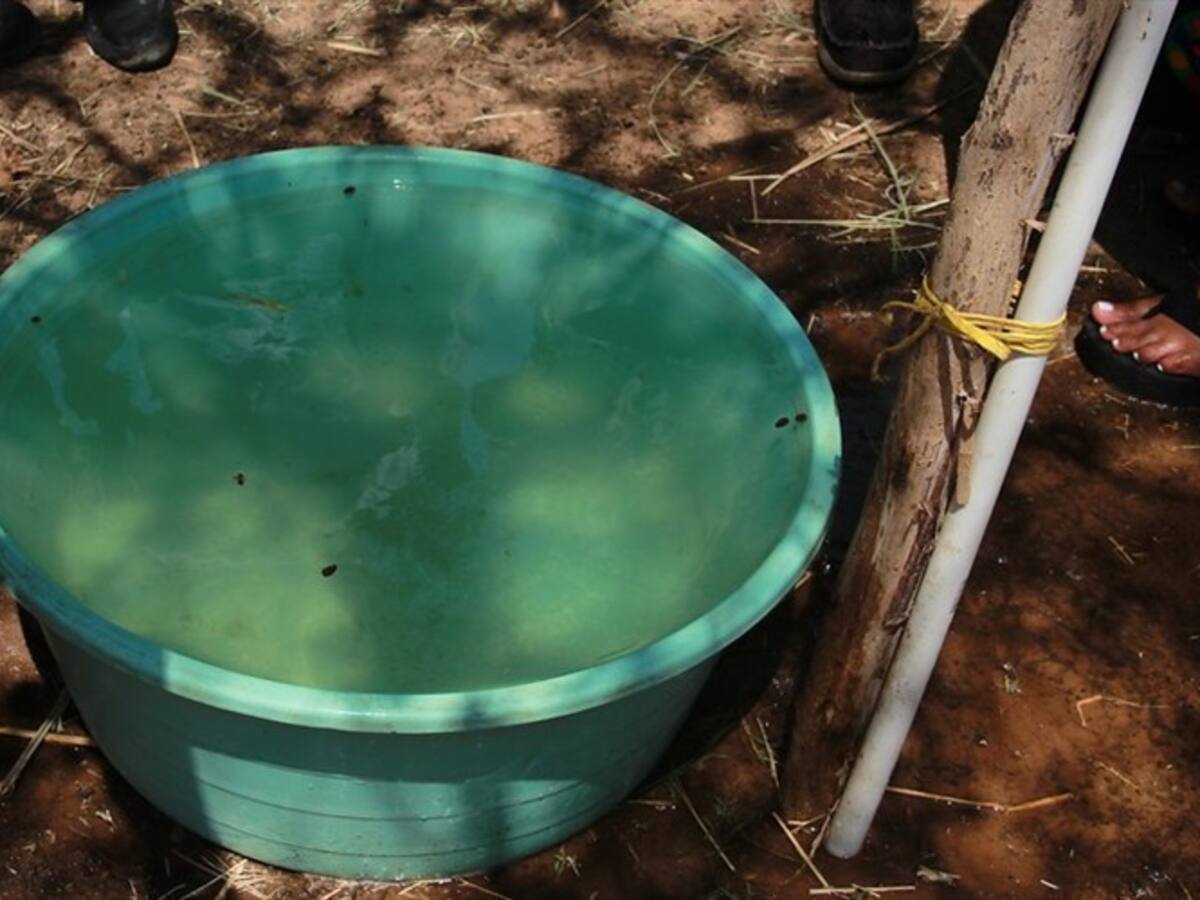 Nueve municipios en Norte de Santander registran deudas por los "Bonos Carrasquilla"