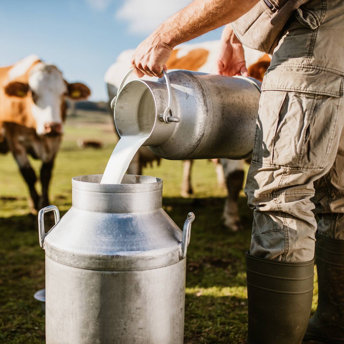 Asoleche alerta desabastecimiento del producto por paro en Boyacá: Hay 500.000 litros represados