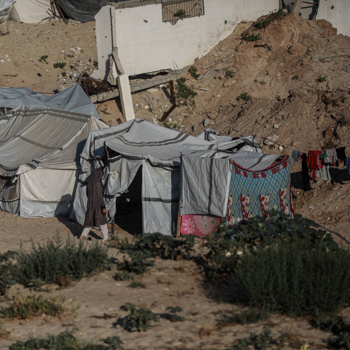 Al menos 24 muertos en un nuevo tiroteo junto a un punto de reparto de ayuda en Gaza