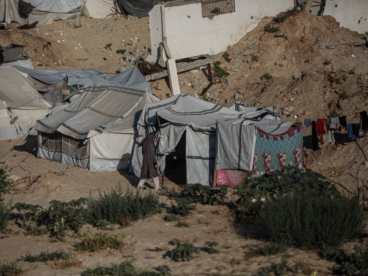 Al menos 24 muertos en un nuevo tiroteo junto a un punto de reparto de ayuda en Gaza