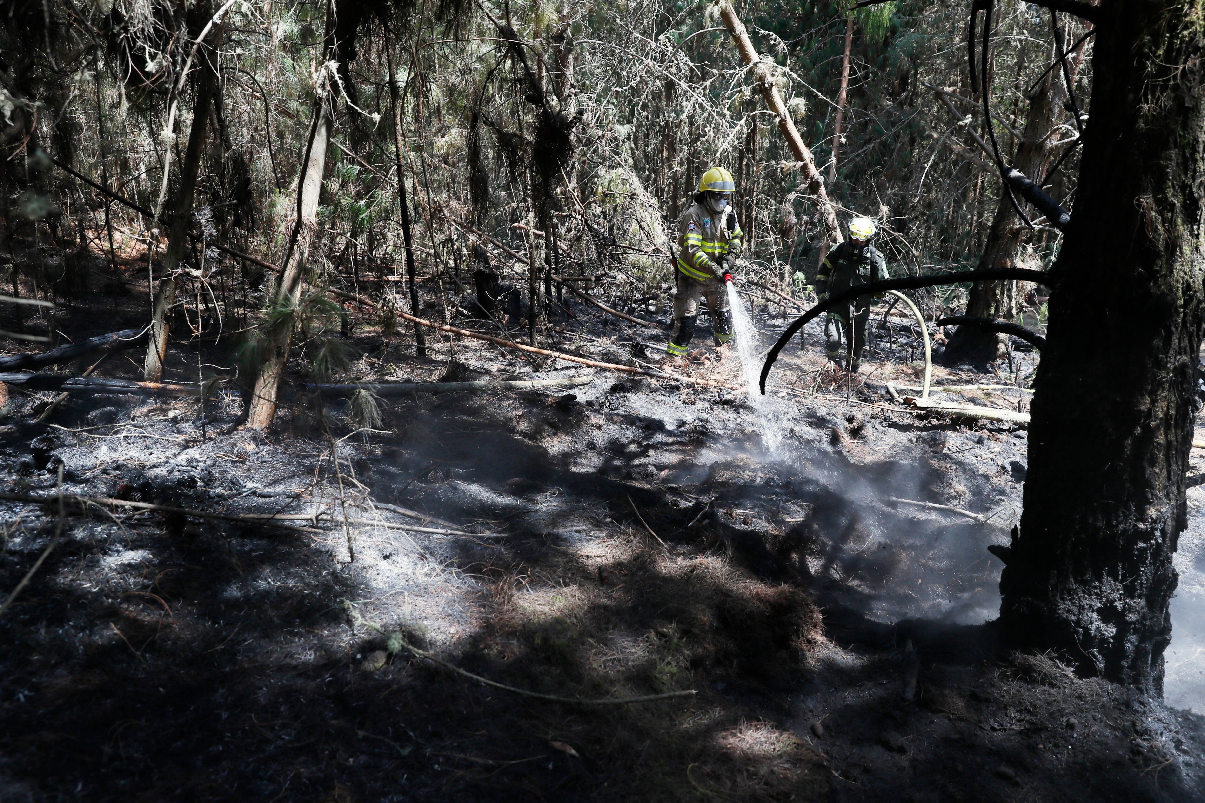 Incendio en Cundinamarca | Foto: EFE