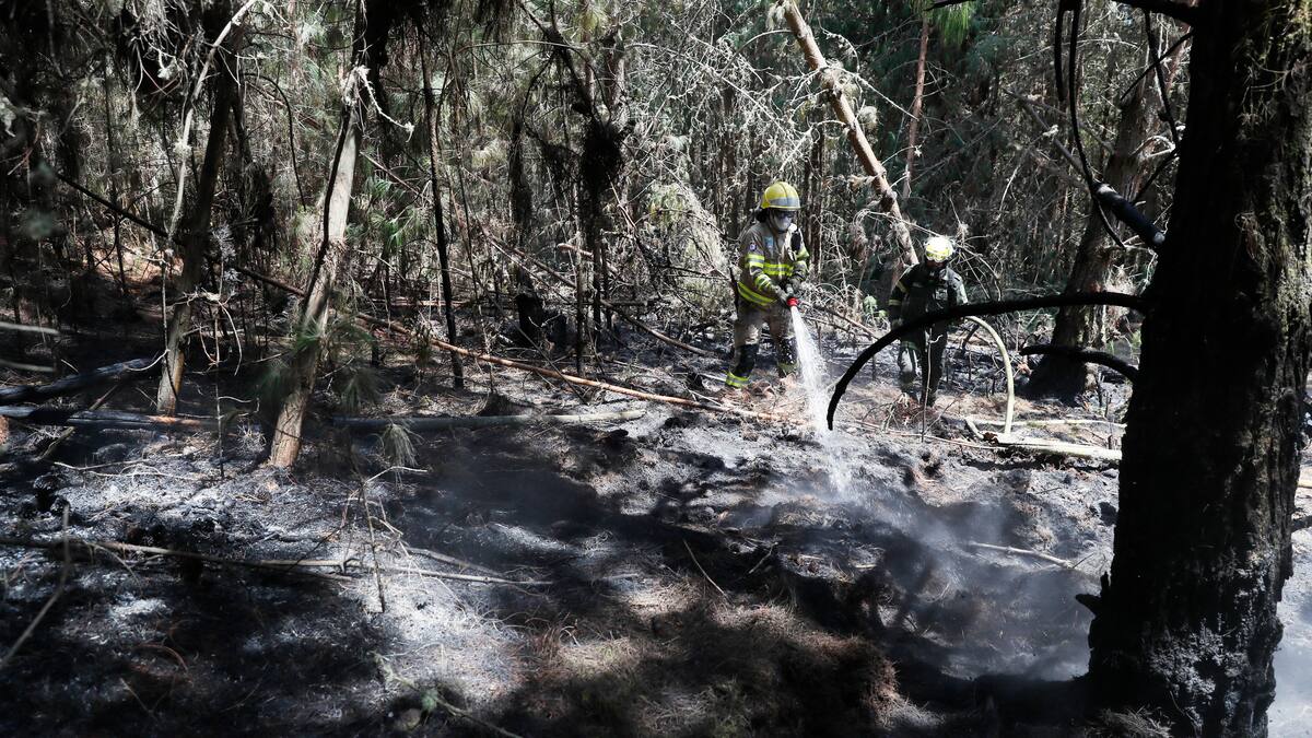 En Cundinamarca incendios forestales han consumido 1.327 hectáreas de bosque