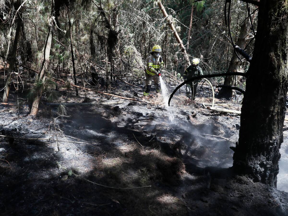 En Cundinamarca incendios forestales han consumido 1.327 hectáreas de bosque