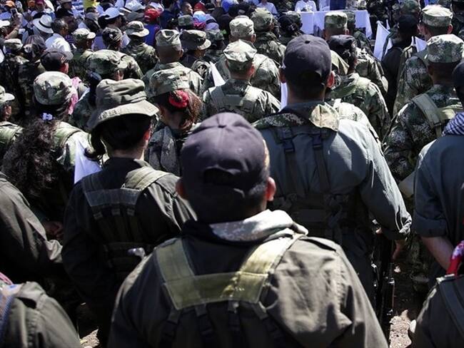 Imagen de referencia. Foto: Colprensa