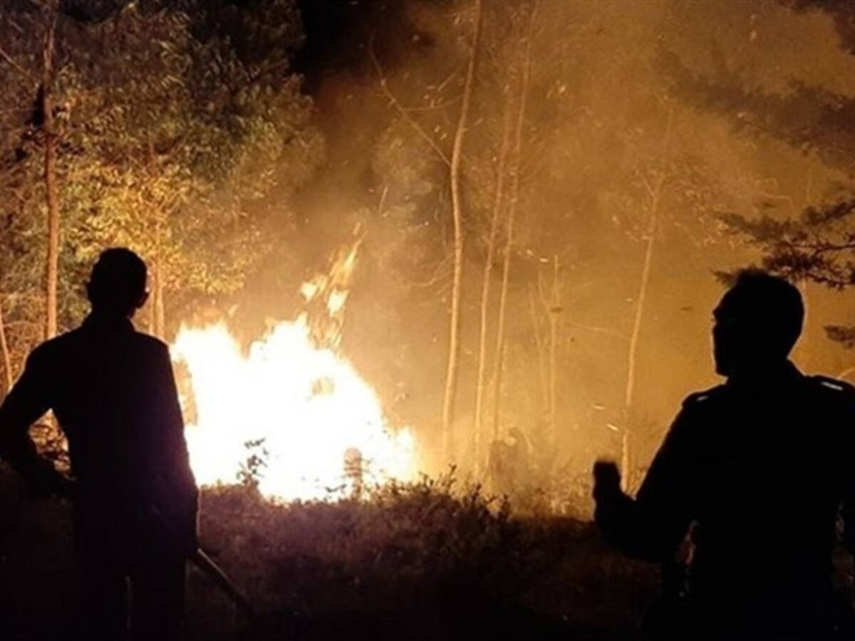 Ya son 110 hectáreas arrasadas por incendio forestal en Floresta, Boyacá