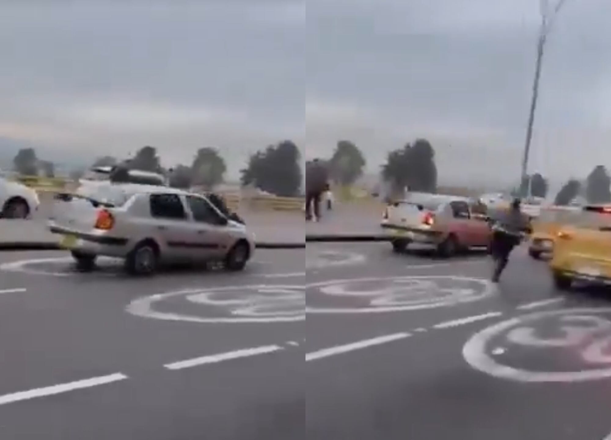 Captura de pantalla | Video: Suministrado