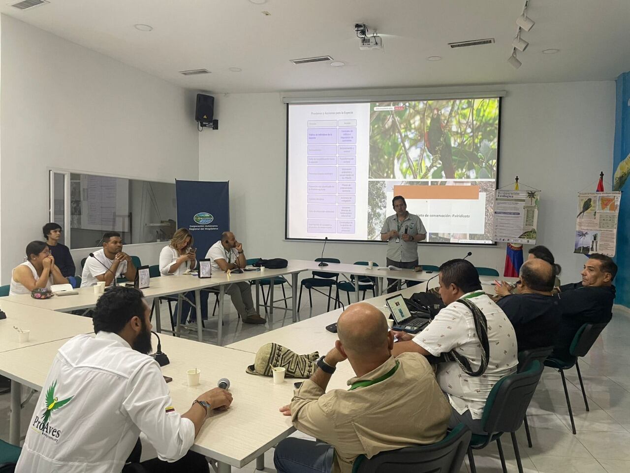 Inicia Plan de Manejo para la Conservación de la Lora Serrana especie en riesgo de extinción/ Corpamag.