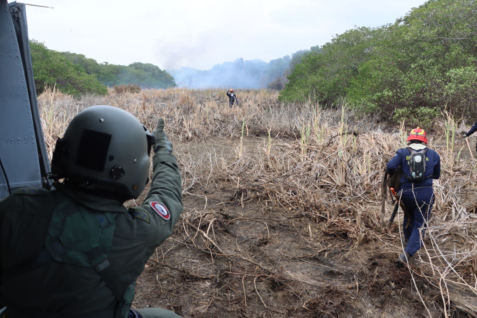 Incendio en Parque Isla Salamaca/ Fuerza Aérea