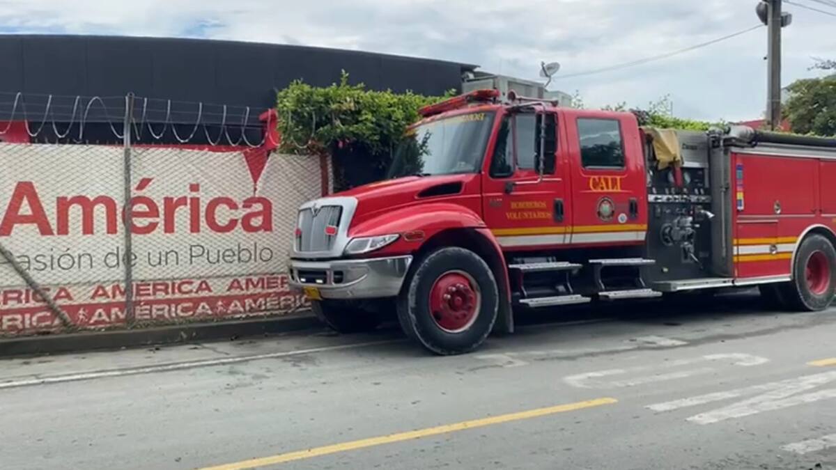 Cinco lesionados tras ataque de abejas en sede del América de Cali