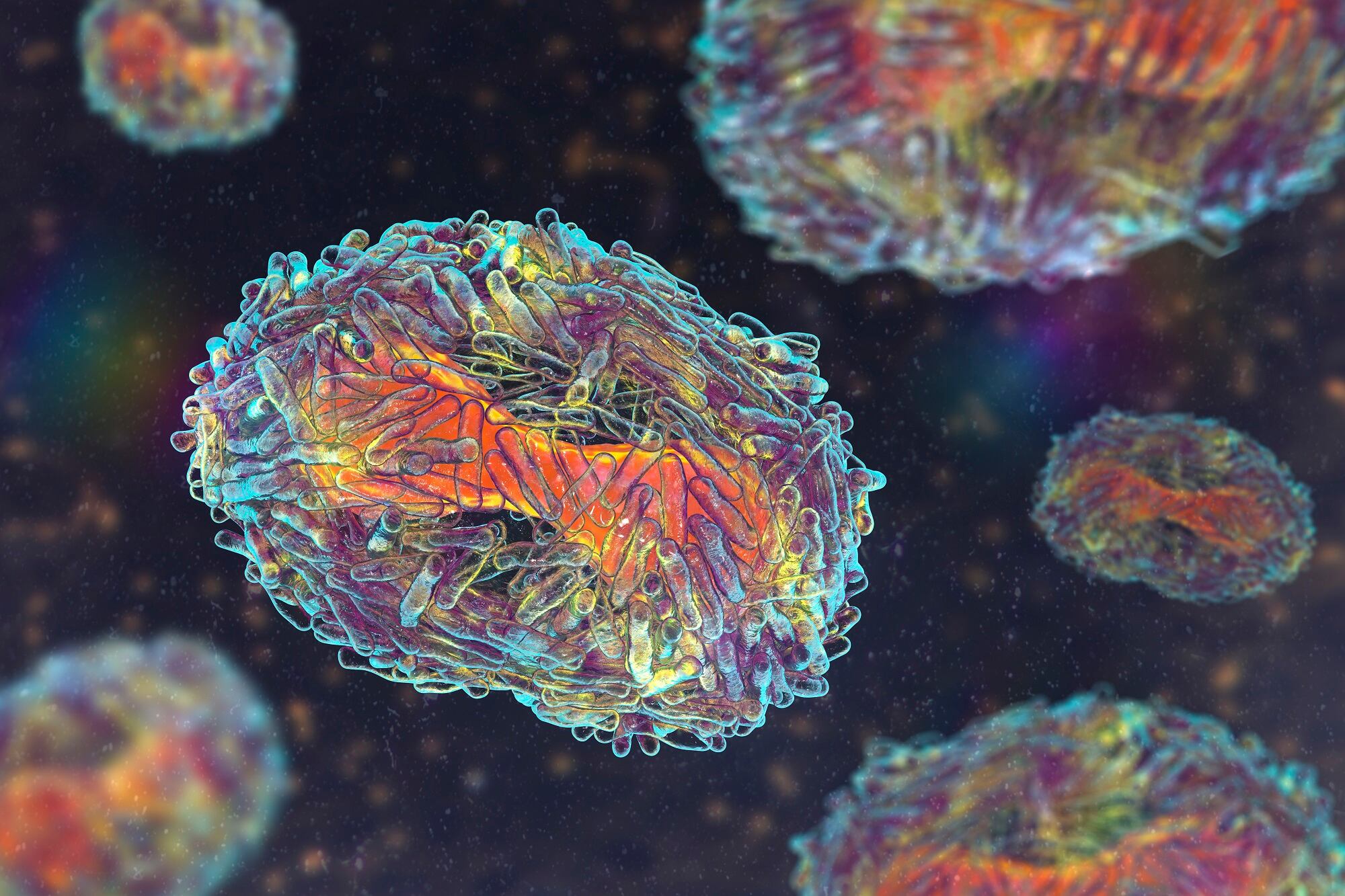 Imagen de referencia de viruela del mono. Foto: Getty Images