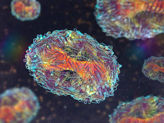 Imagen de referencia de viruela del mono. Foto: Getty Images